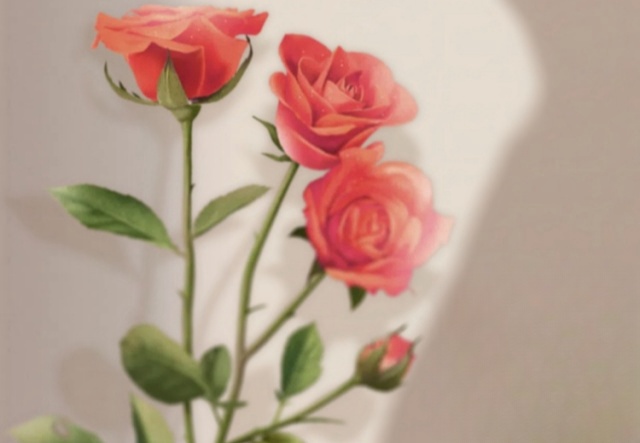 祝天下女神們節(jié)日快樂?。?！